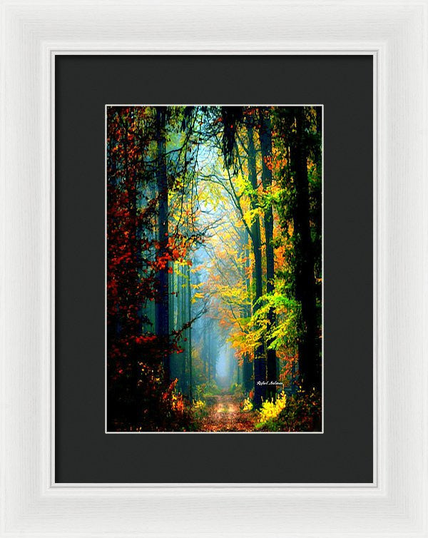 Framed Print - Autumn Trails In Georgia