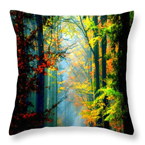 Throw Pillow - Autumn Trails In Georgia