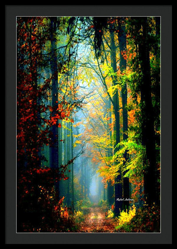 Framed Print - Autumn Trails In Georgia