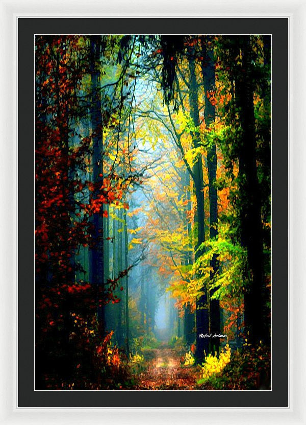 Framed Print - Autumn Trails In Georgia