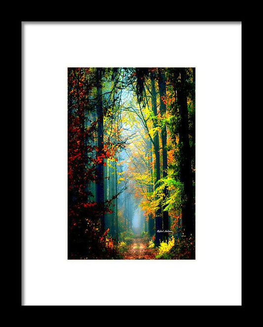 Framed Print - Autumn Trails In Georgia