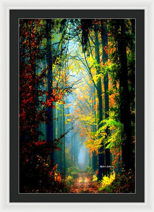 Framed Print - Autumn Trails In Georgia