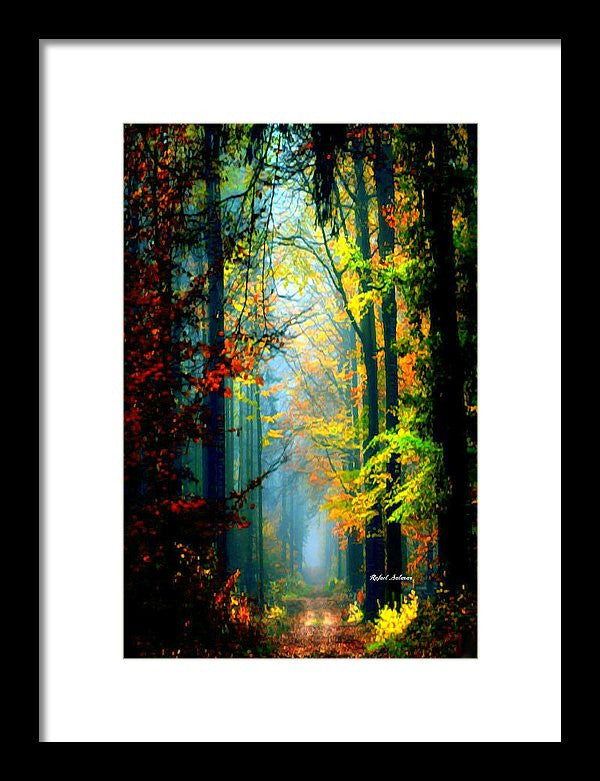 Framed Print - Autumn Trails In Georgia