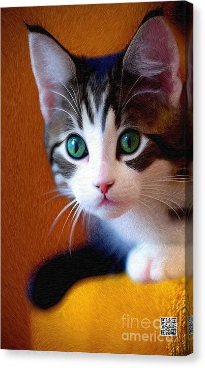Bella wants to play - Canvas Print