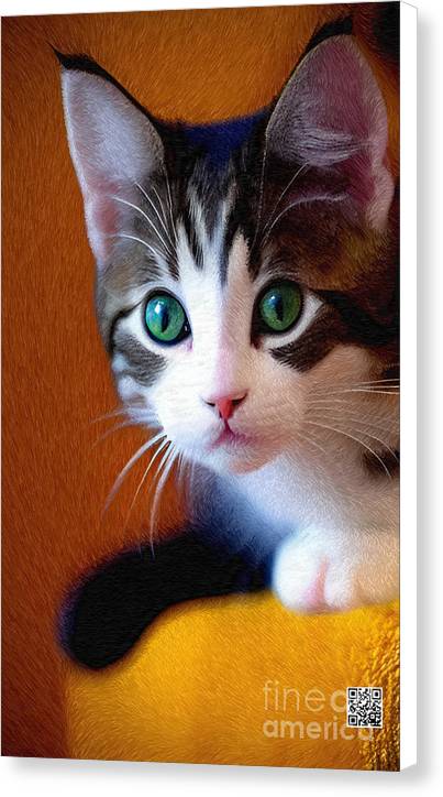 Bella wants to play - Canvas Print