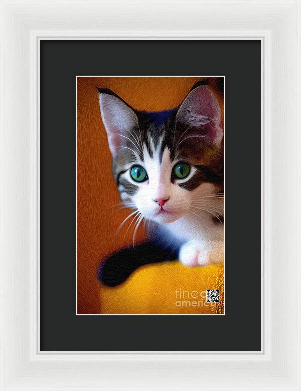 Bella wants to play - Framed Print