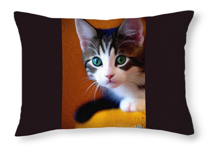 Bella veut jouer - Coussin décoratif