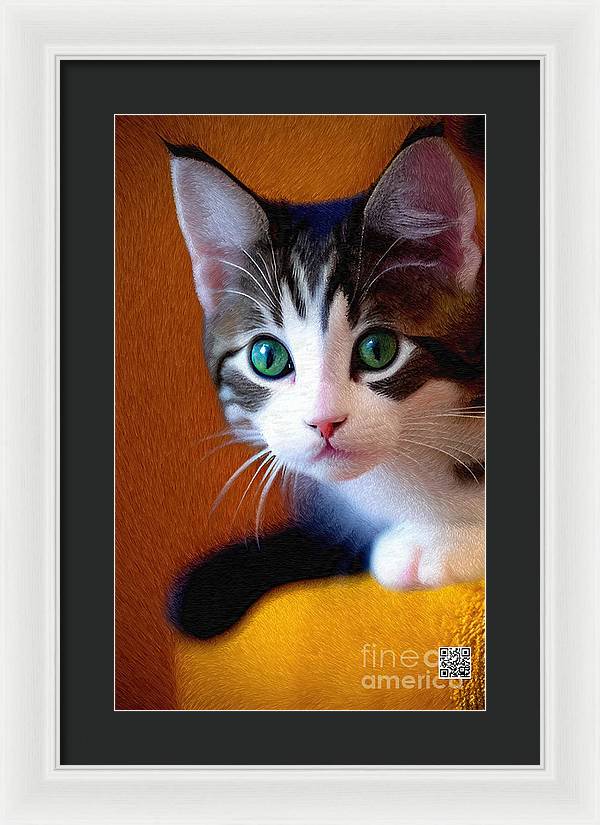 Bella wants to play - Framed Print