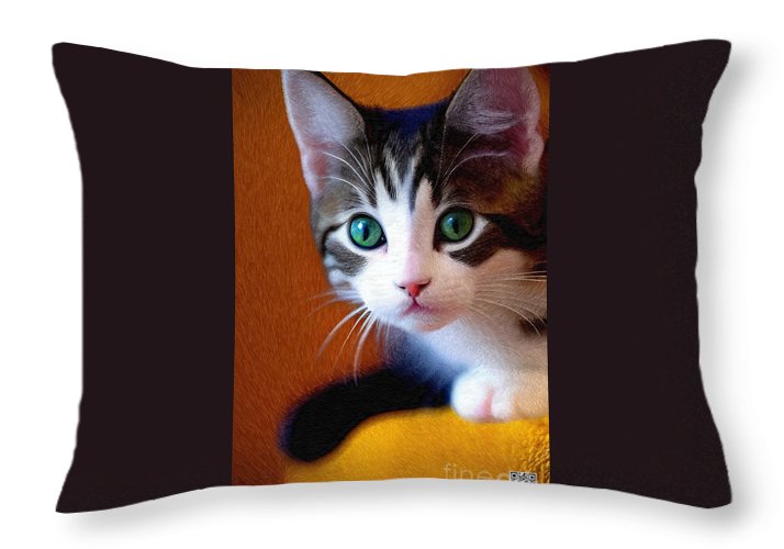 Bella wants to play - Throw Pillow