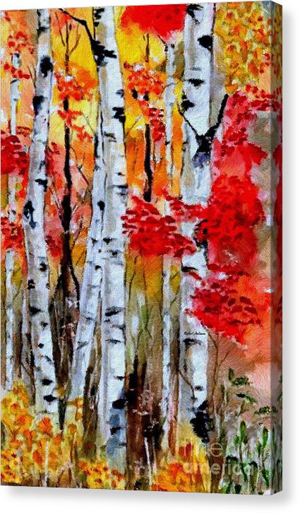 Birch Trees In Fall - Canvas Print