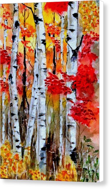 Birch Trees In Fall - Canvas Print