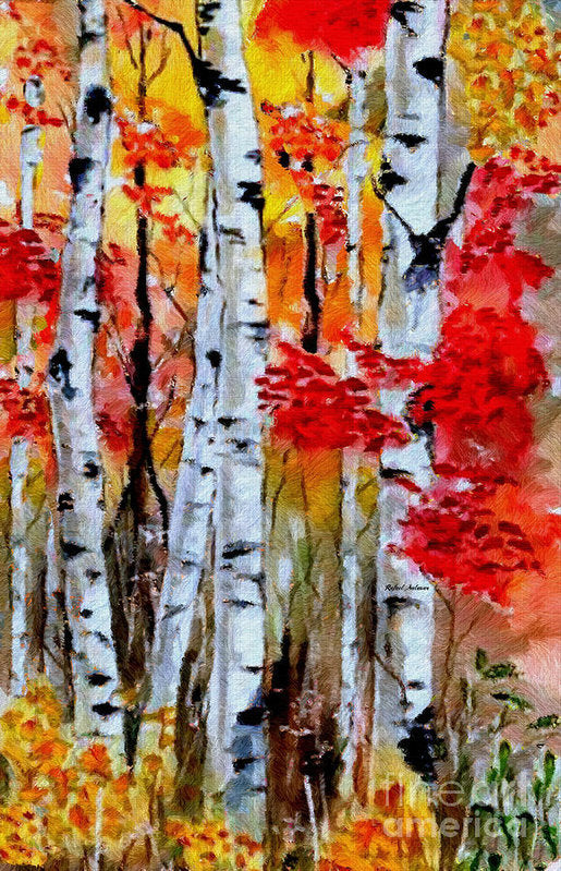 Birch Trees In Fall - Art Print