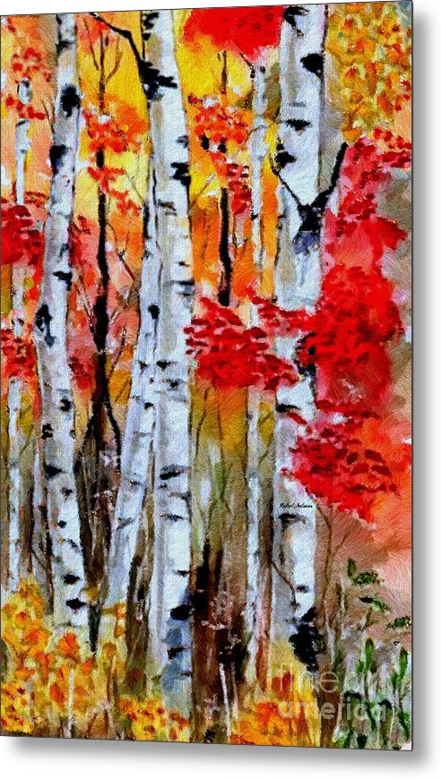 Birch Trees In Fall - Metal Print