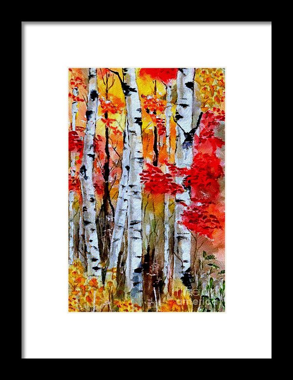 Birch Trees In Fall - Framed Print