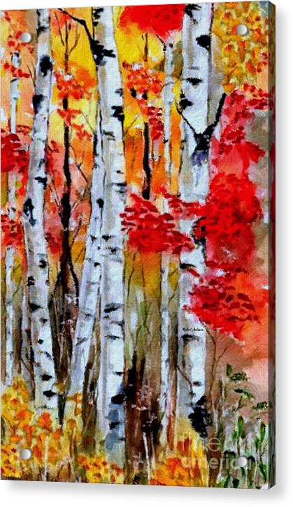 Birch Trees In Fall - Acrylic Print