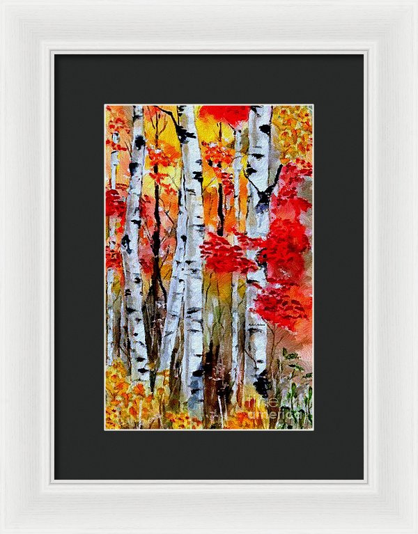 Birch Trees In Fall - Framed Print