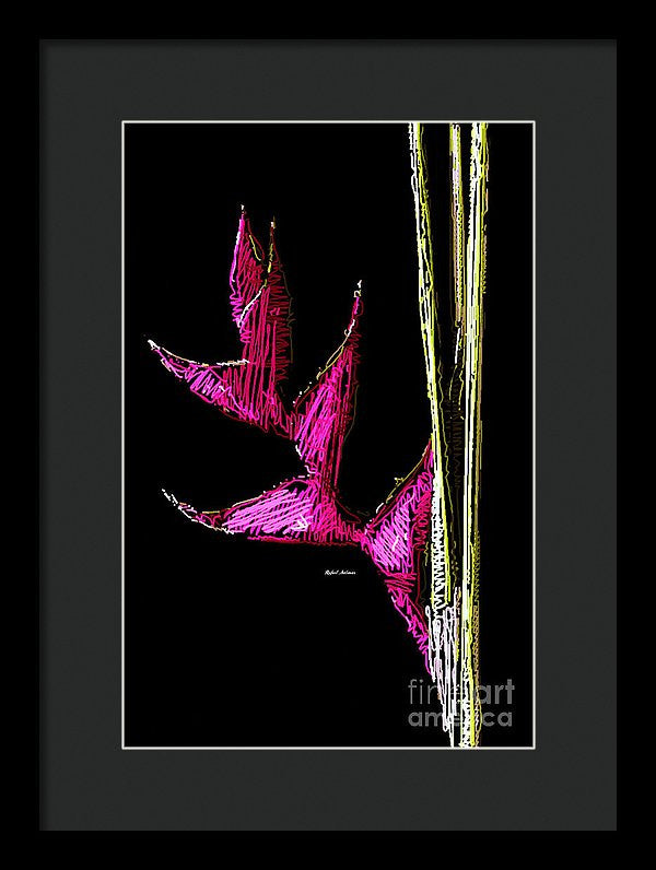 Framed Print - Birds Of Paradise