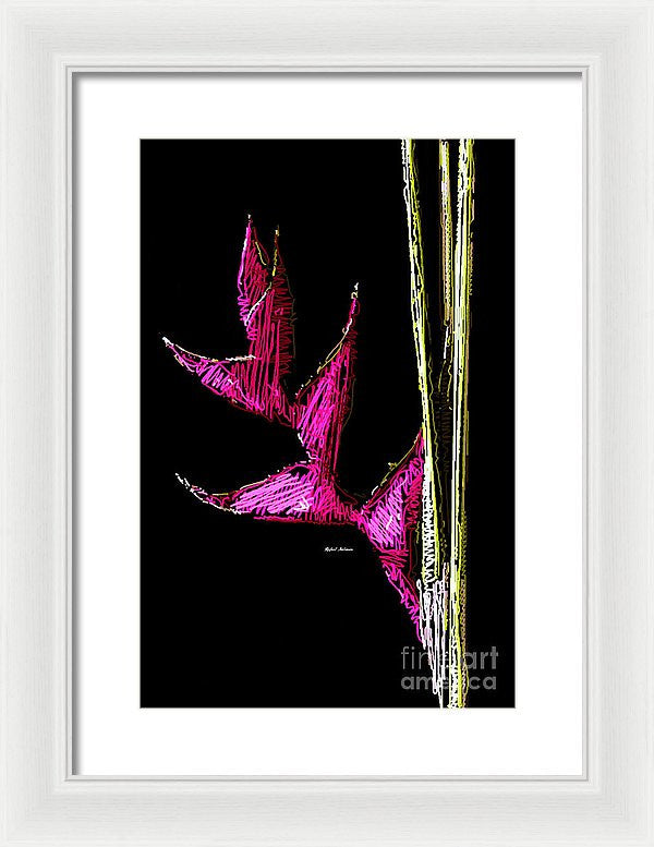 Framed Print - Birds Of Paradise