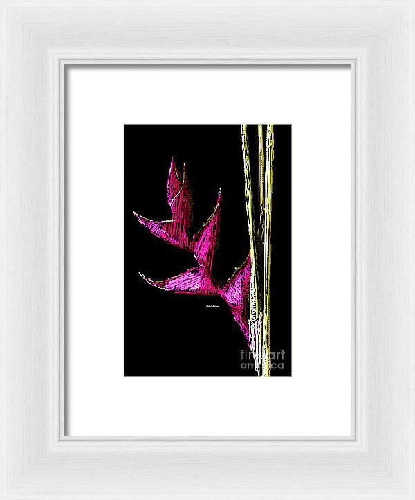 Framed Print - Birds Of Paradise