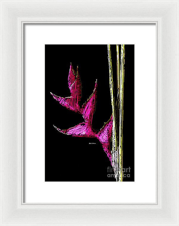 Framed Print - Birds Of Paradise