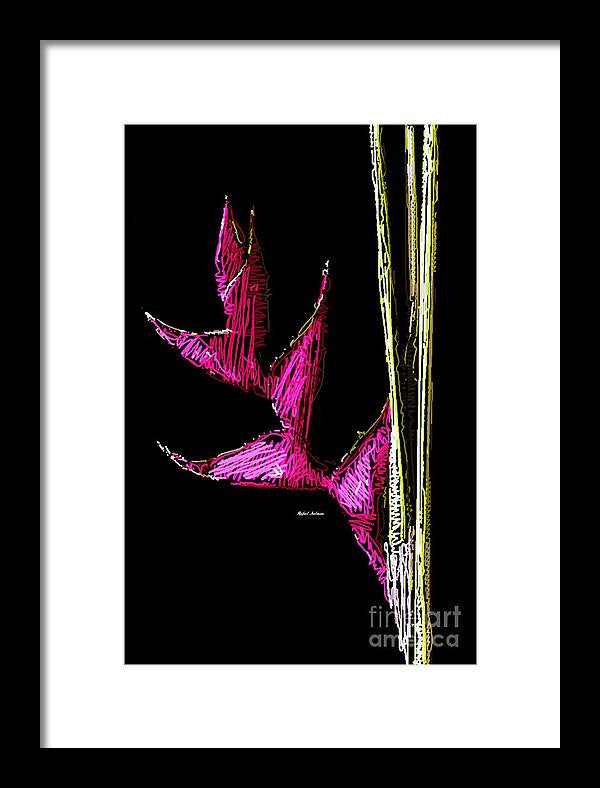 Framed Print - Birds Of Paradise