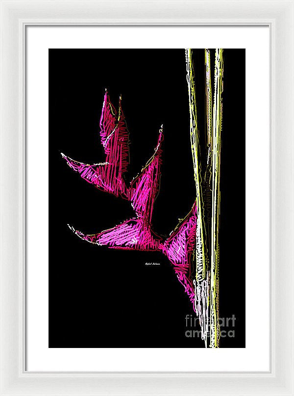 Framed Print - Birds Of Paradise