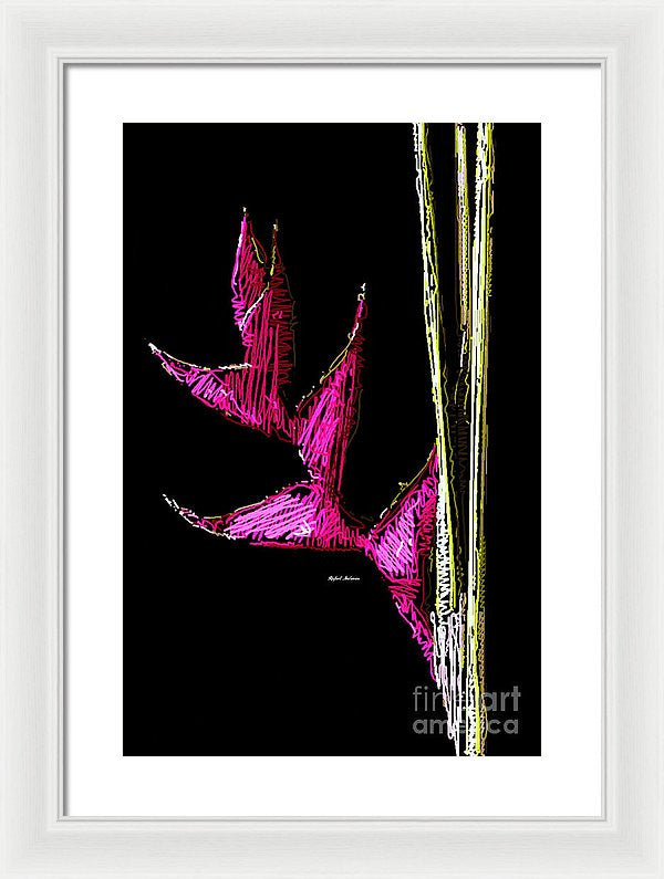 Framed Print - Birds Of Paradise