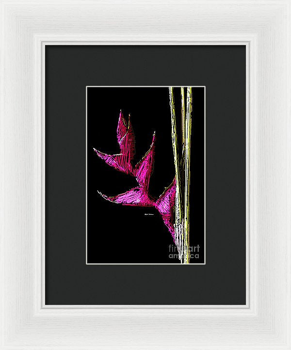 Framed Print - Birds Of Paradise