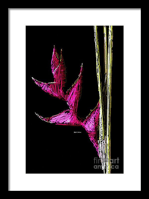 Framed Print - Birds Of Paradise