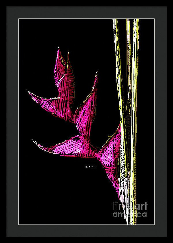 Framed Print - Birds Of Paradise