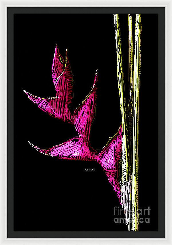 Framed Print - Birds Of Paradise