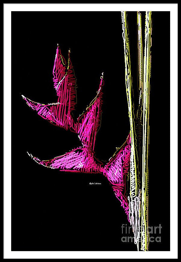 Framed Print - Birds Of Paradise