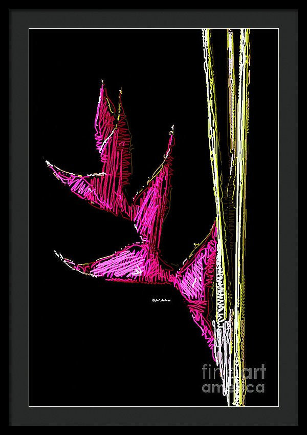 Framed Print - Birds Of Paradise