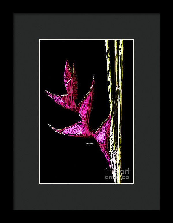 Framed Print - Birds Of Paradise