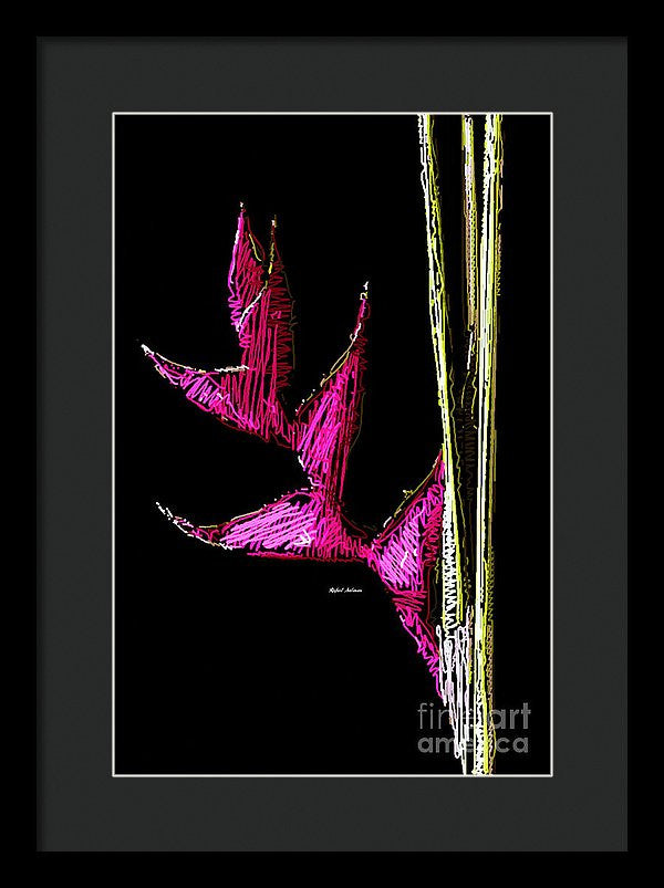 Framed Print - Birds Of Paradise