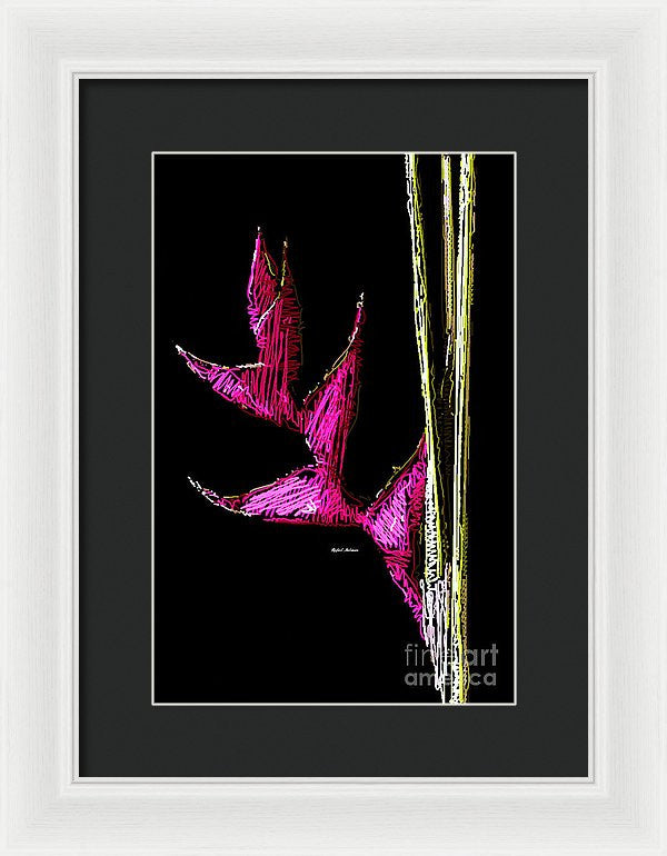 Framed Print - Birds Of Paradise