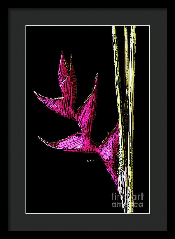 Framed Print - Birds Of Paradise