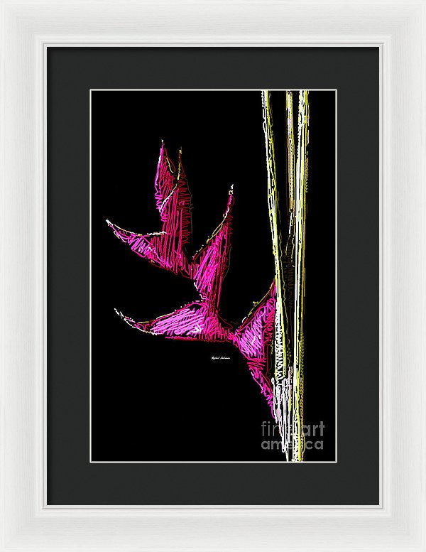 Framed Print - Birds Of Paradise