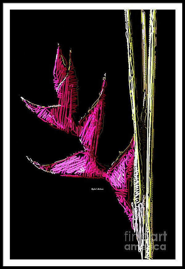 Framed Print - Birds Of Paradise