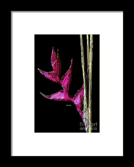 Framed Print - Birds Of Paradise