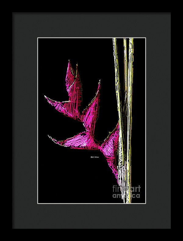 Framed Print - Birds Of Paradise