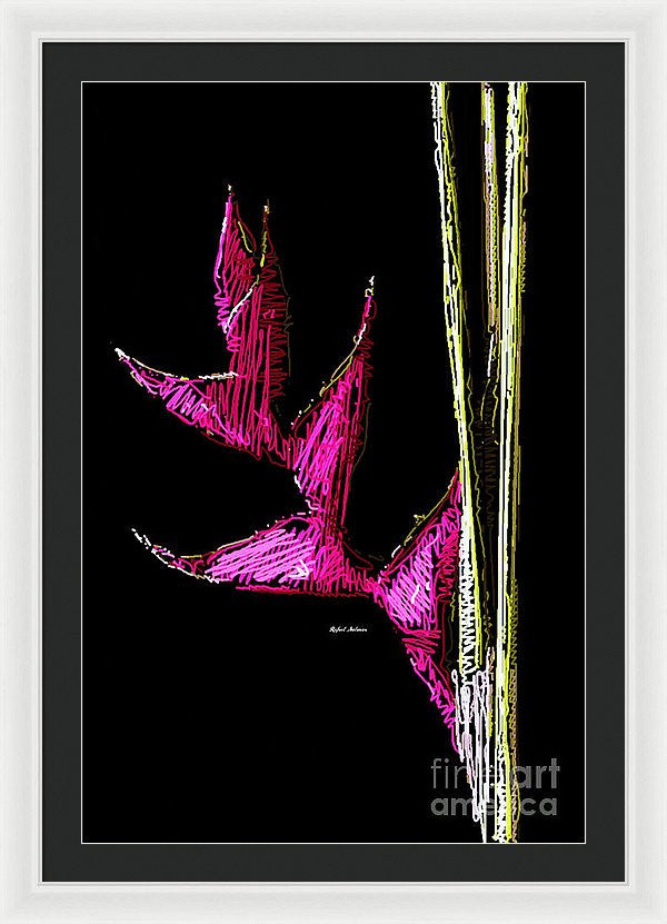 Framed Print - Birds Of Paradise