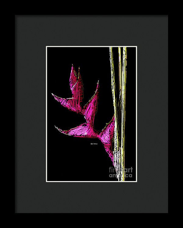 Framed Print - Birds Of Paradise