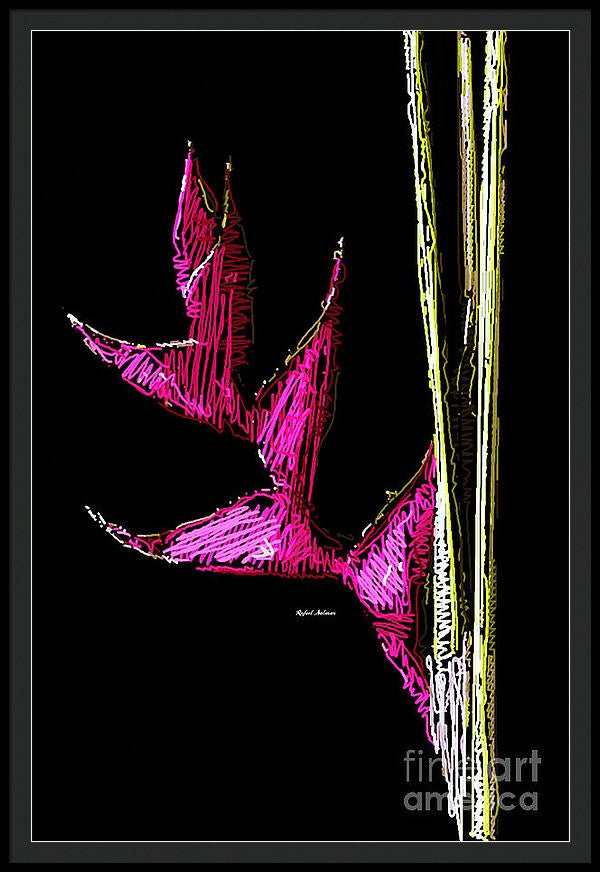 Framed Print - Birds Of Paradise