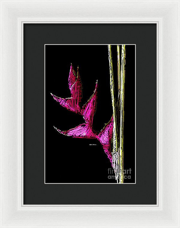 Framed Print - Birds Of Paradise