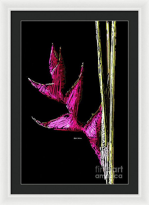 Framed Print - Birds Of Paradise