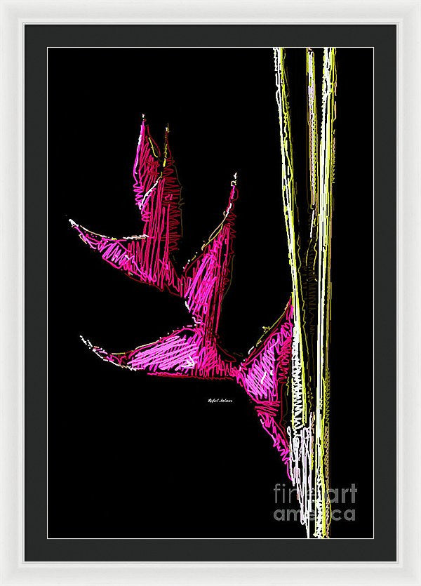 Framed Print - Birds Of Paradise