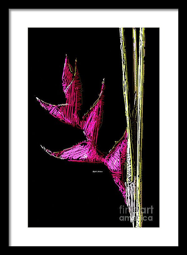 Framed Print - Birds Of Paradise