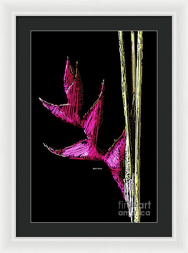 Framed Print - Birds Of Paradise