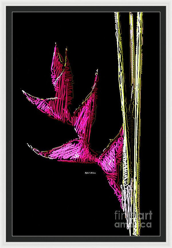 Framed Print - Birds Of Paradise